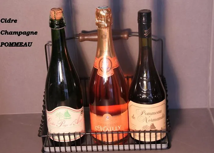 公寓 Le Bellevue - Beautiful Sea View 翁弗勒尔